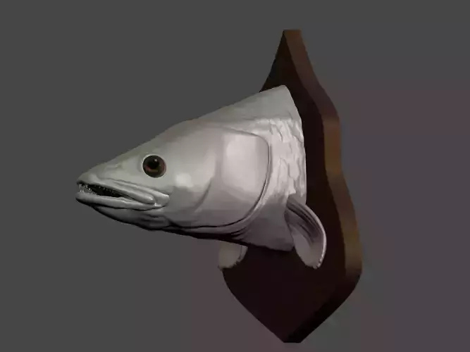 Zander detailed texture trophy taxidermy for 3D printing Free 3D print model