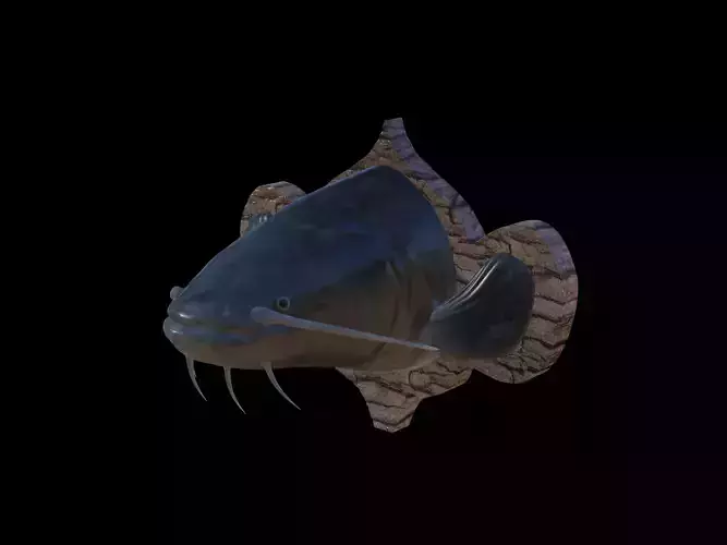 Catfish detailed texture trophy taxidermy for 3D printing 3D print model