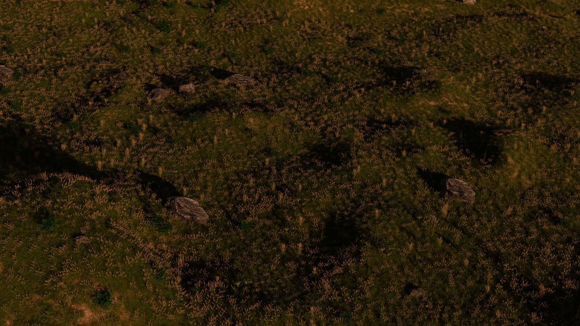 Field Free 3D model_9