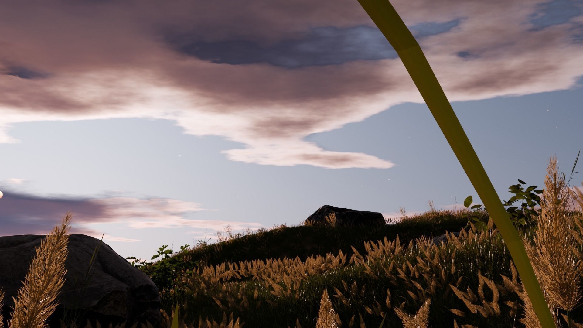 Field Free 3D model_5