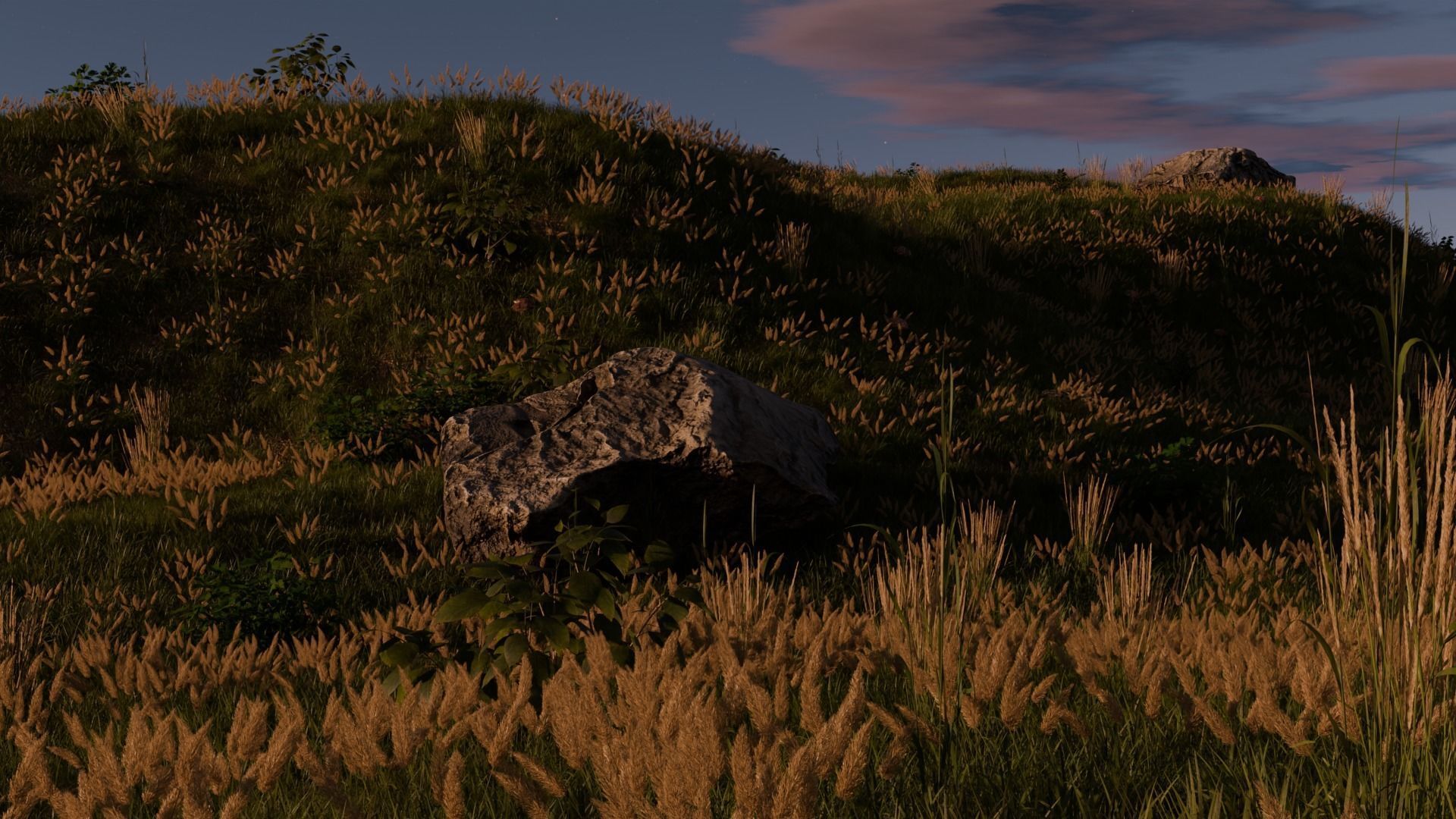 Field Free 3D model_3