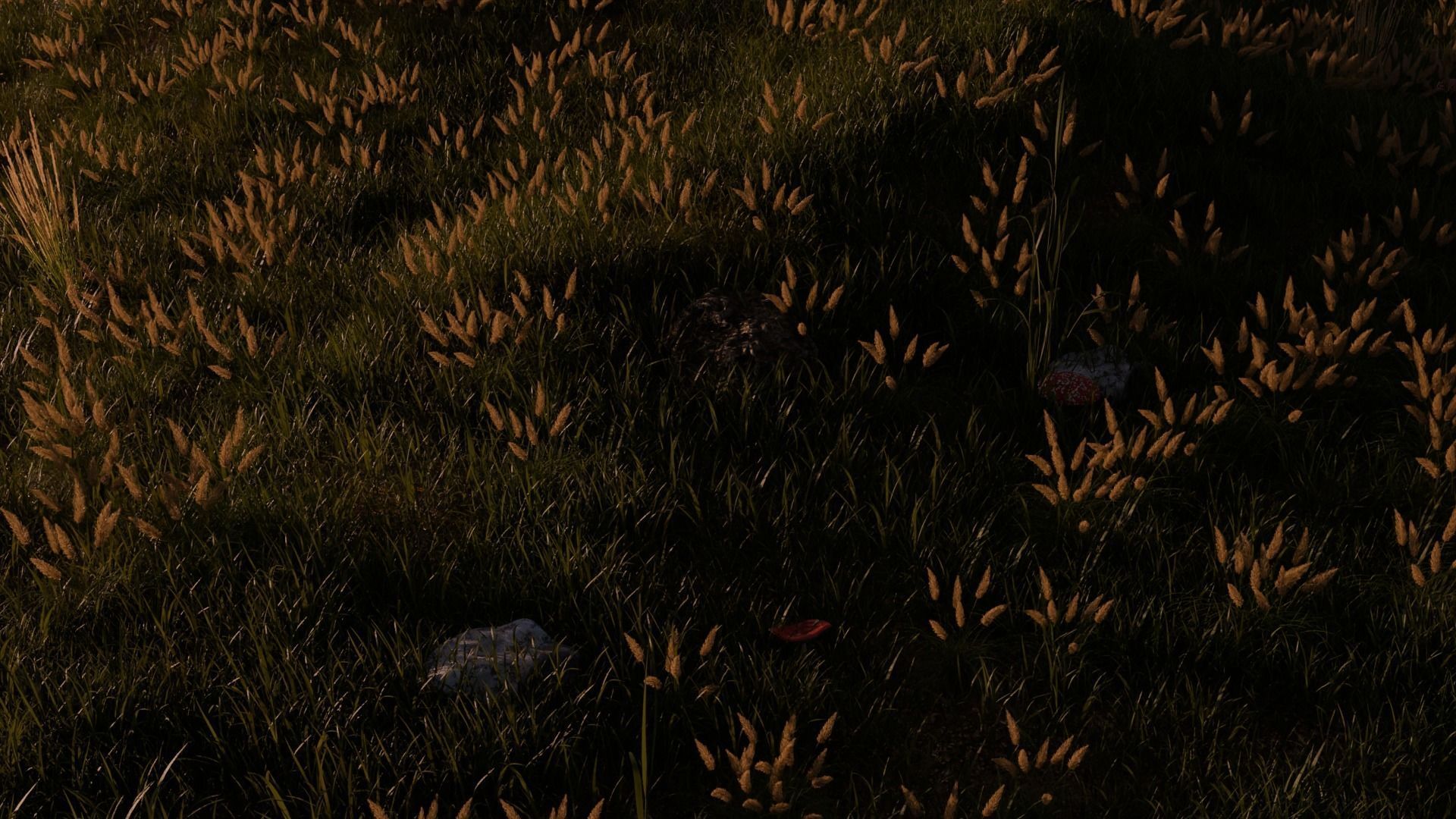 Field Free 3D model_7