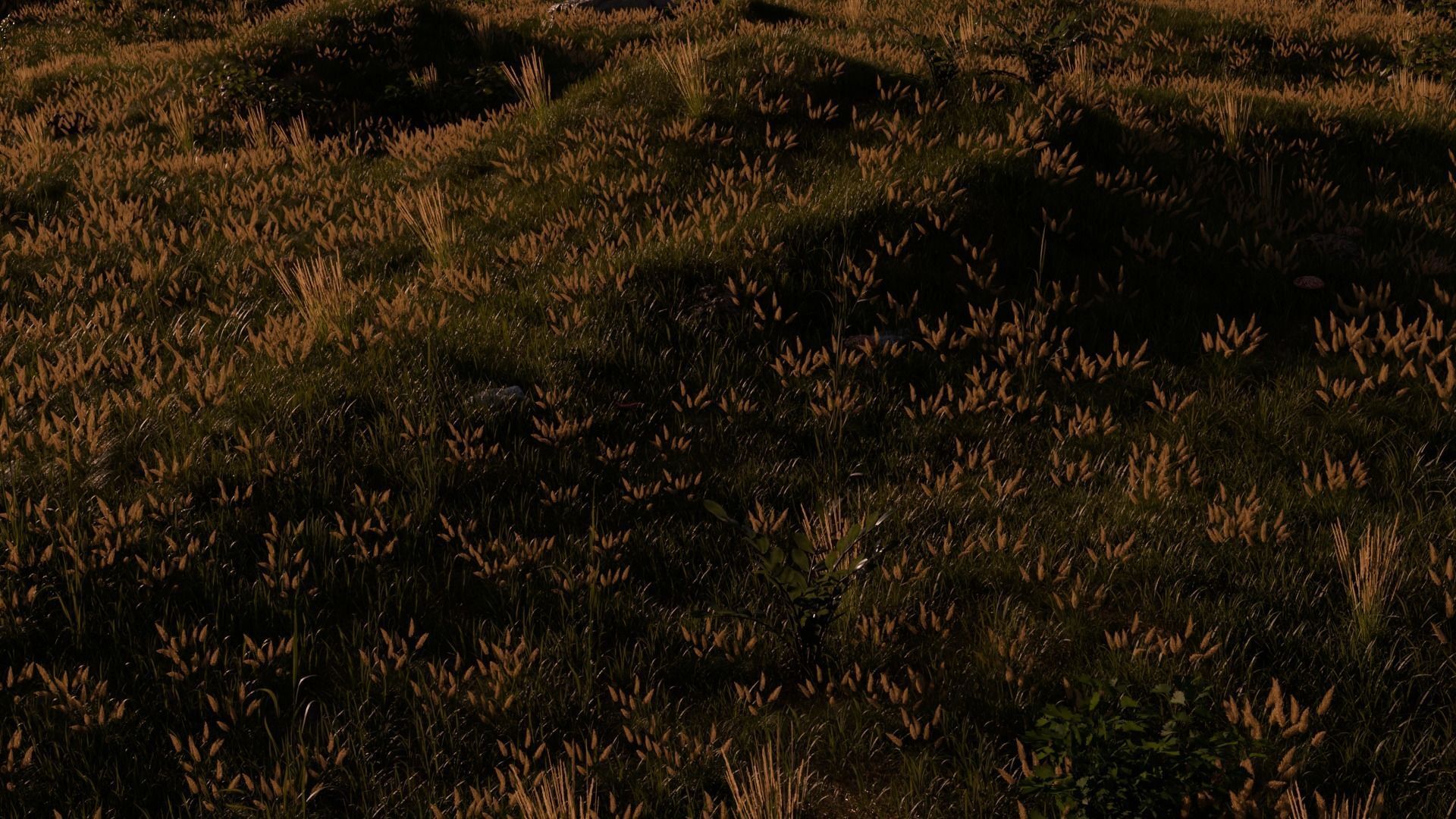 Field Free 3D model_8
