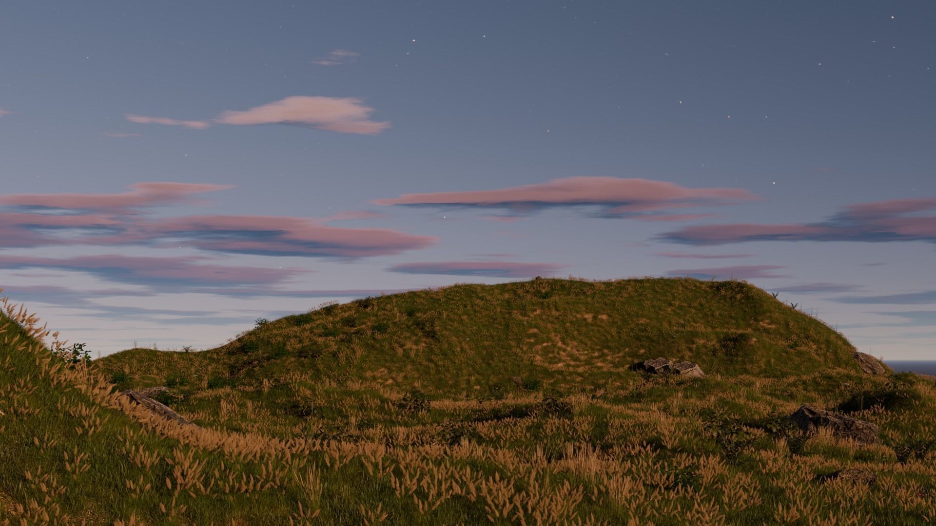 Field Free 3D model_1