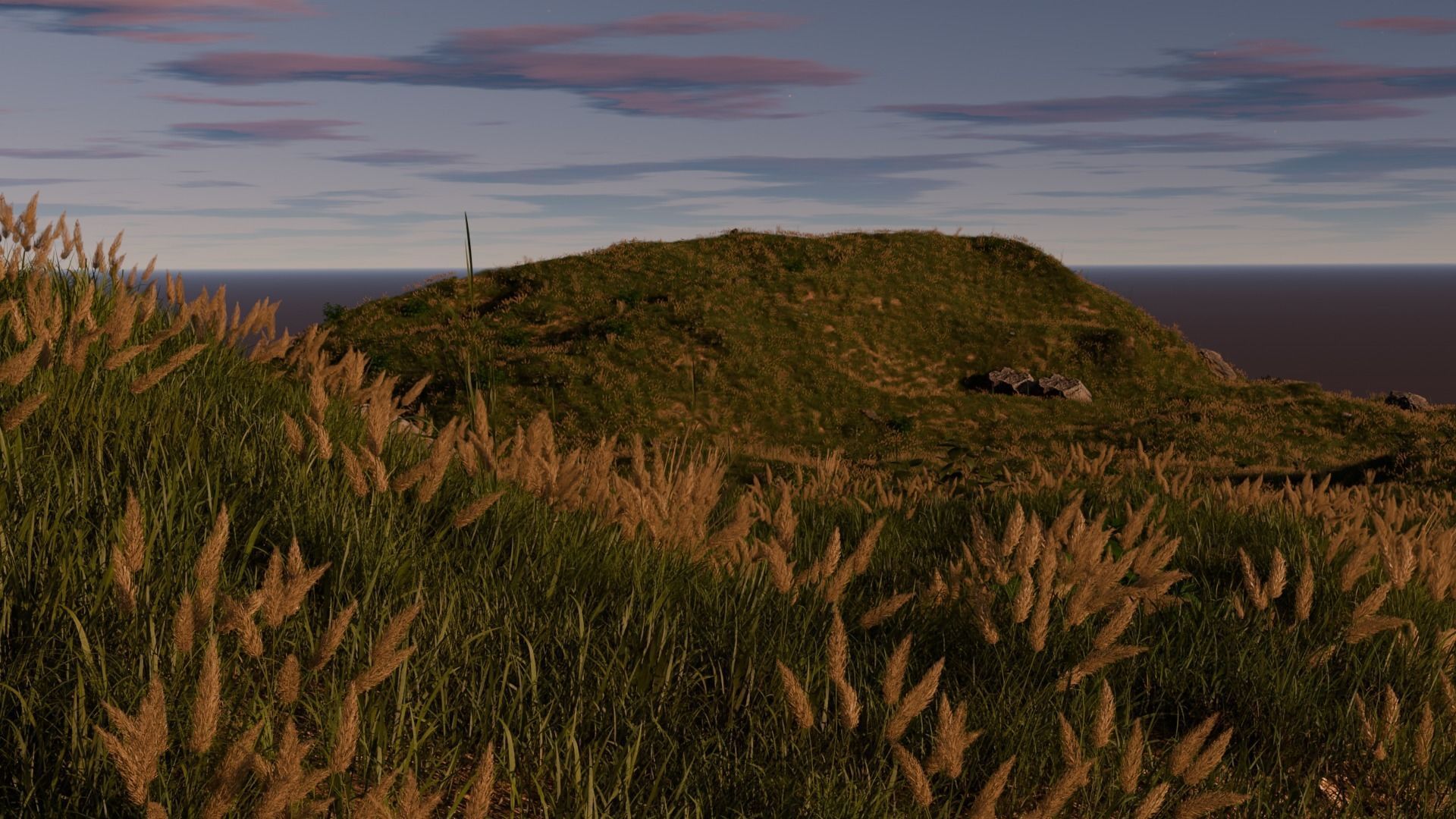 Field Free 3D model_2