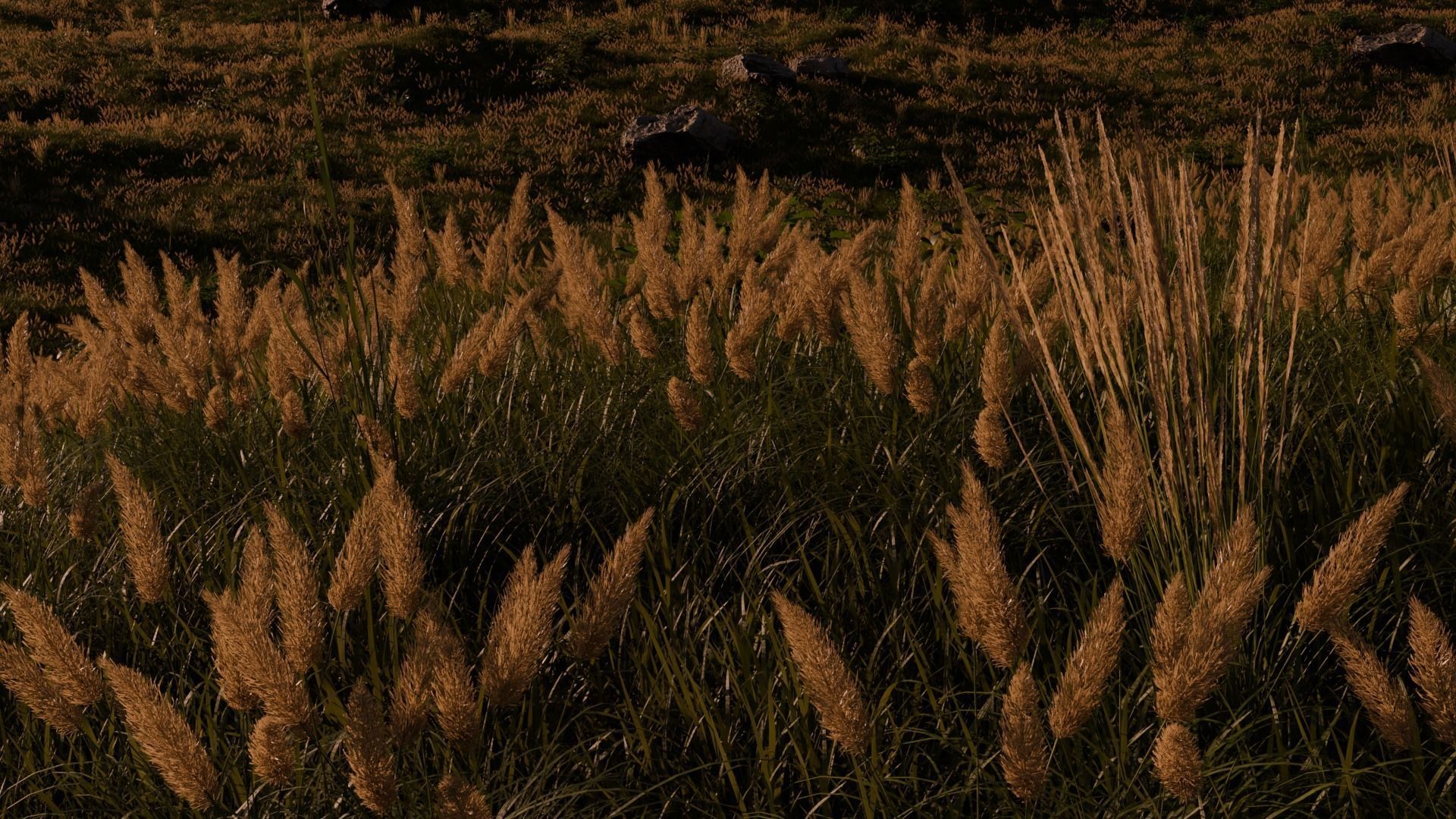 Field Free 3D model_4