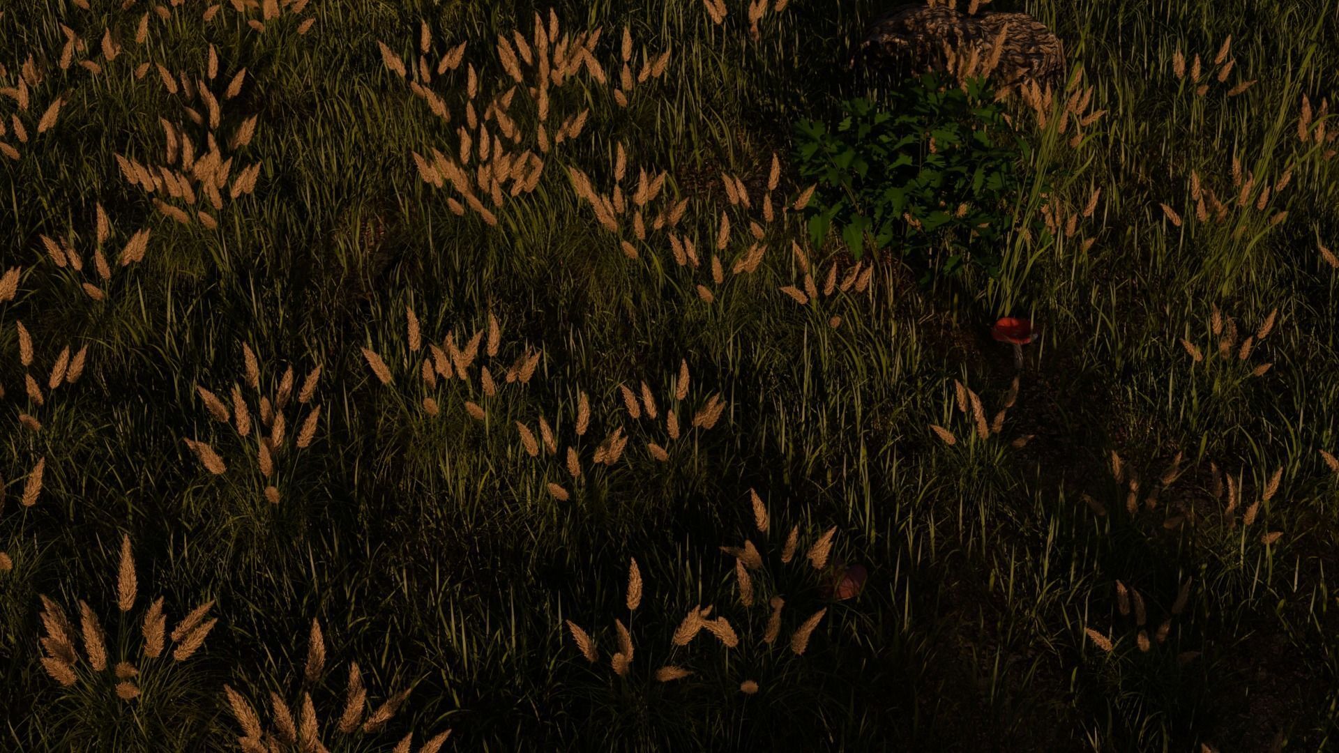 Field Free 3D model_6