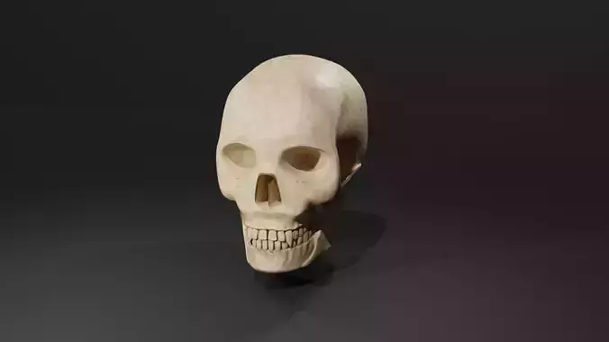 3D Skull High-Poly Model