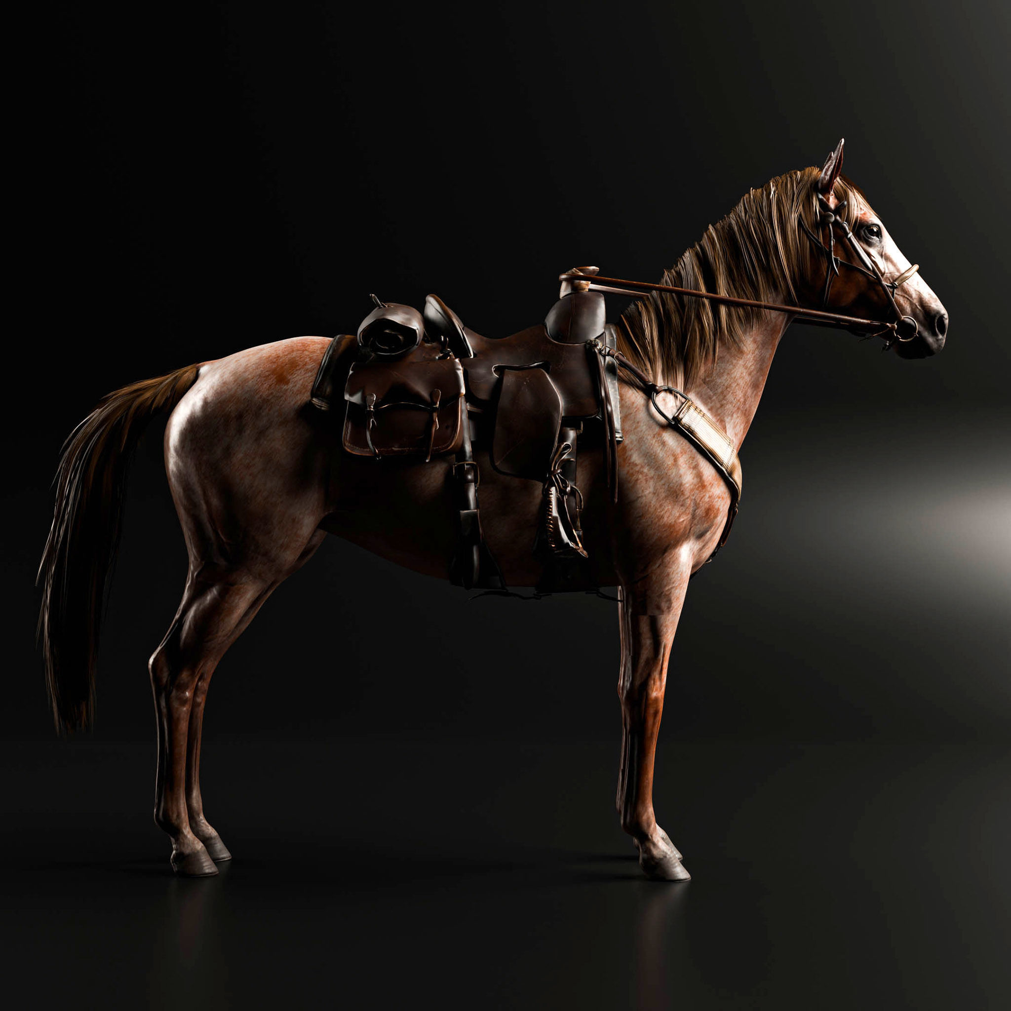 Rigged Horse And Saddle 3D model_8