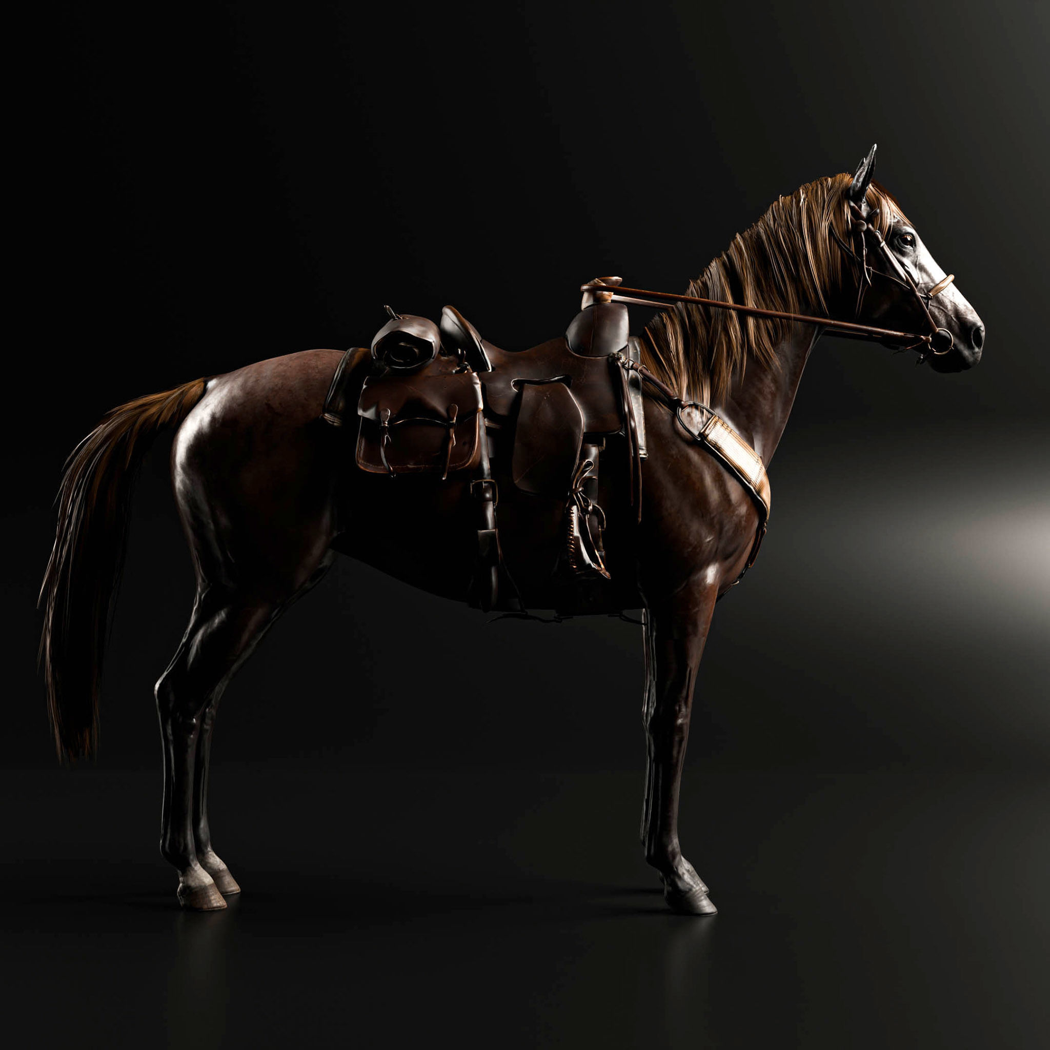 Rigged Horse And Saddle 3D model_6