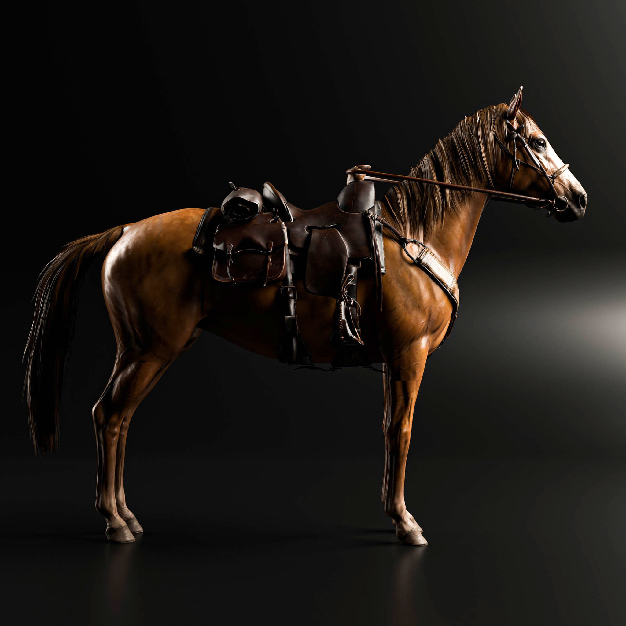 Rigged Horse And Saddle 3D model_10
