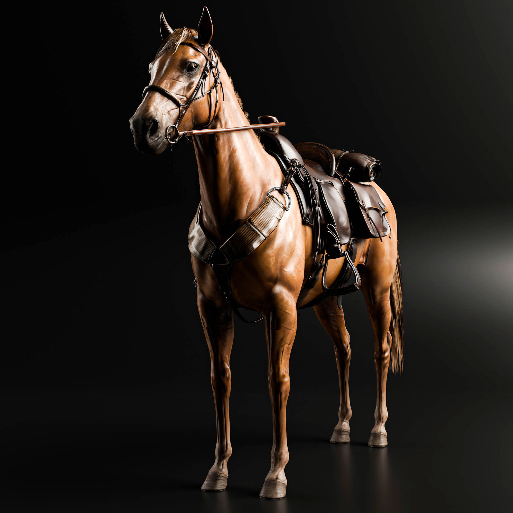 Rigged Horse And Saddle 3D model_9