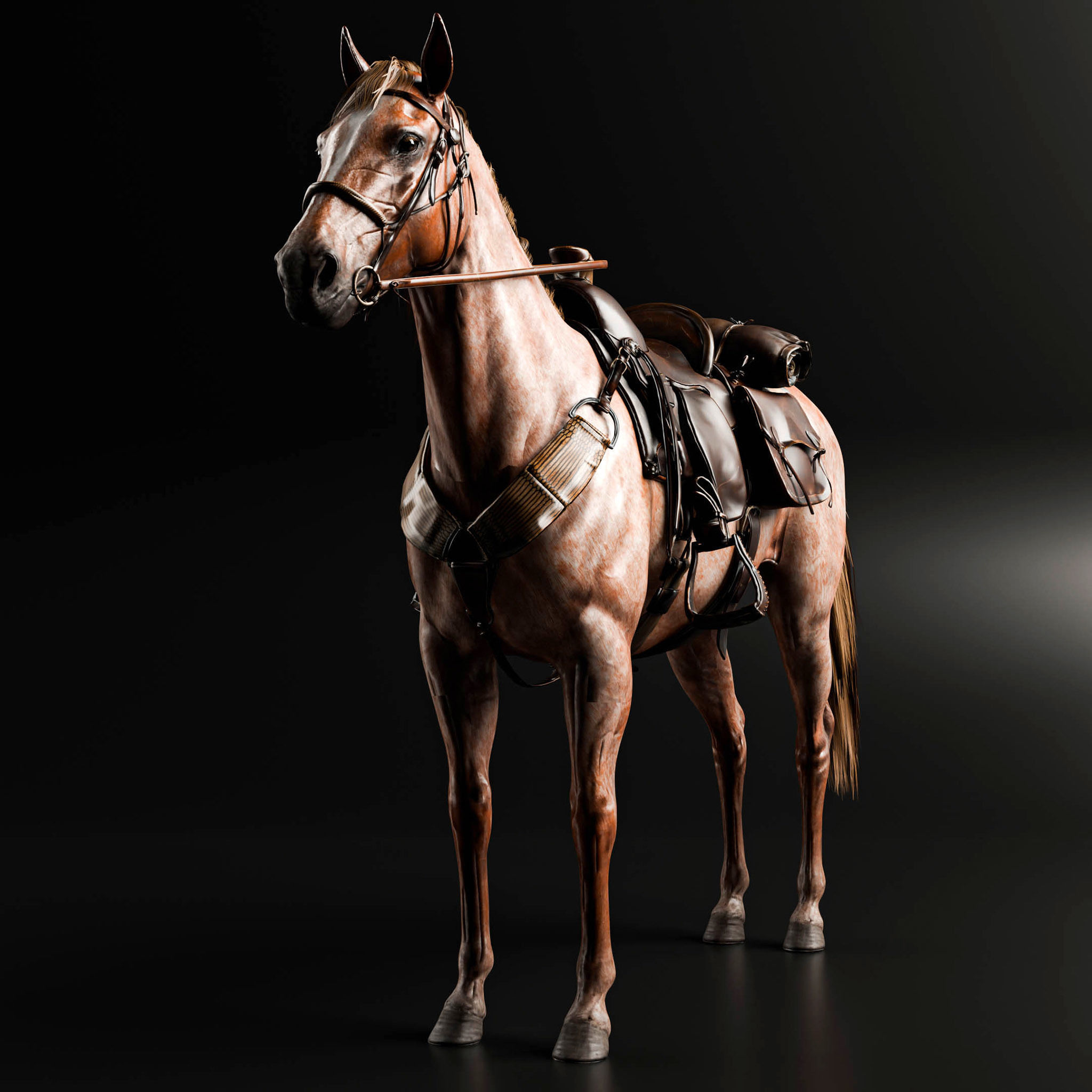 Rigged Horse And Saddle 3D model_7
