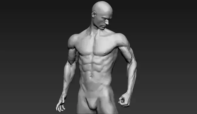 Male Full Body Sculpt Pose 18