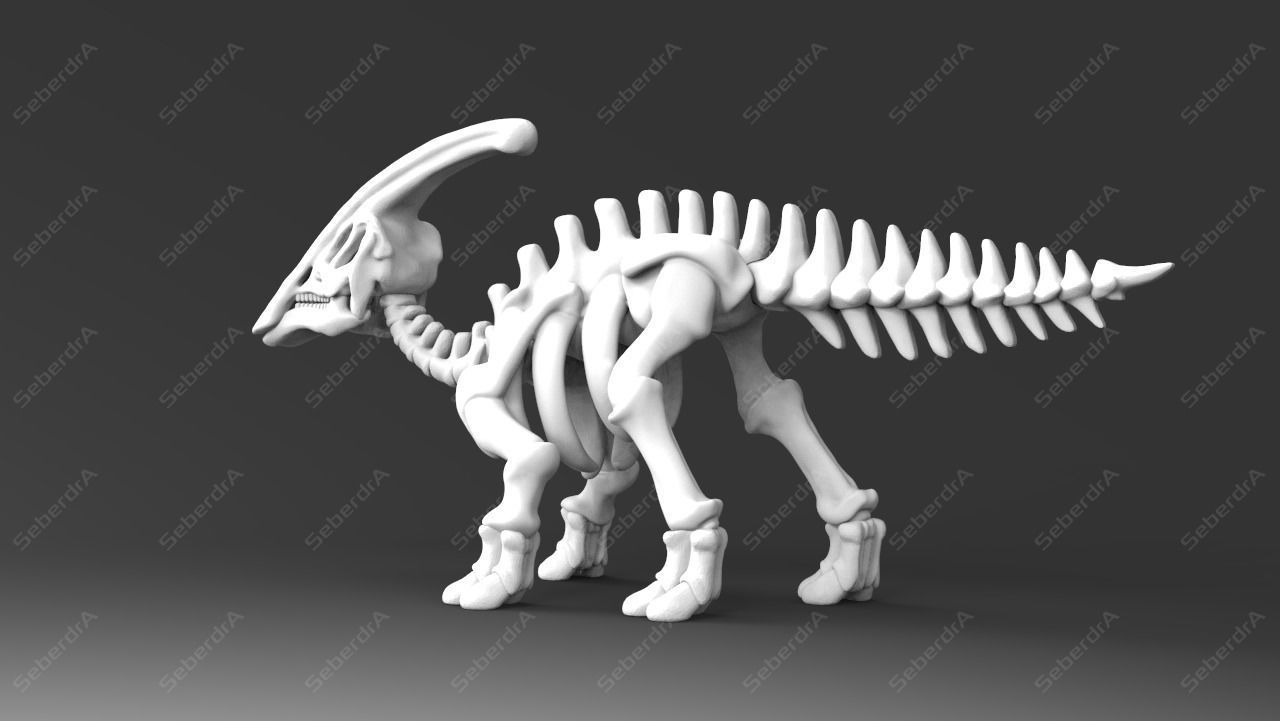 Cute Parasaurolophus Skeleton STL for 3D print model_2