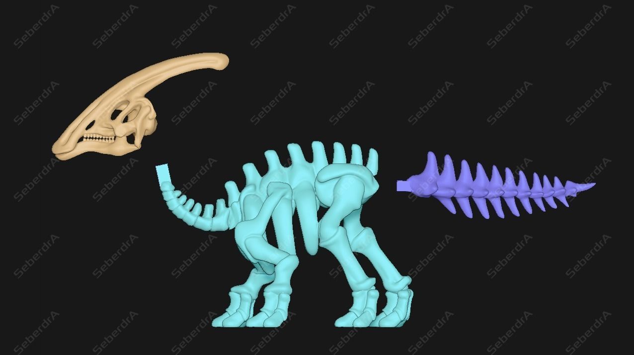 Cute Parasaurolophus Skeleton STL for 3D print model_4