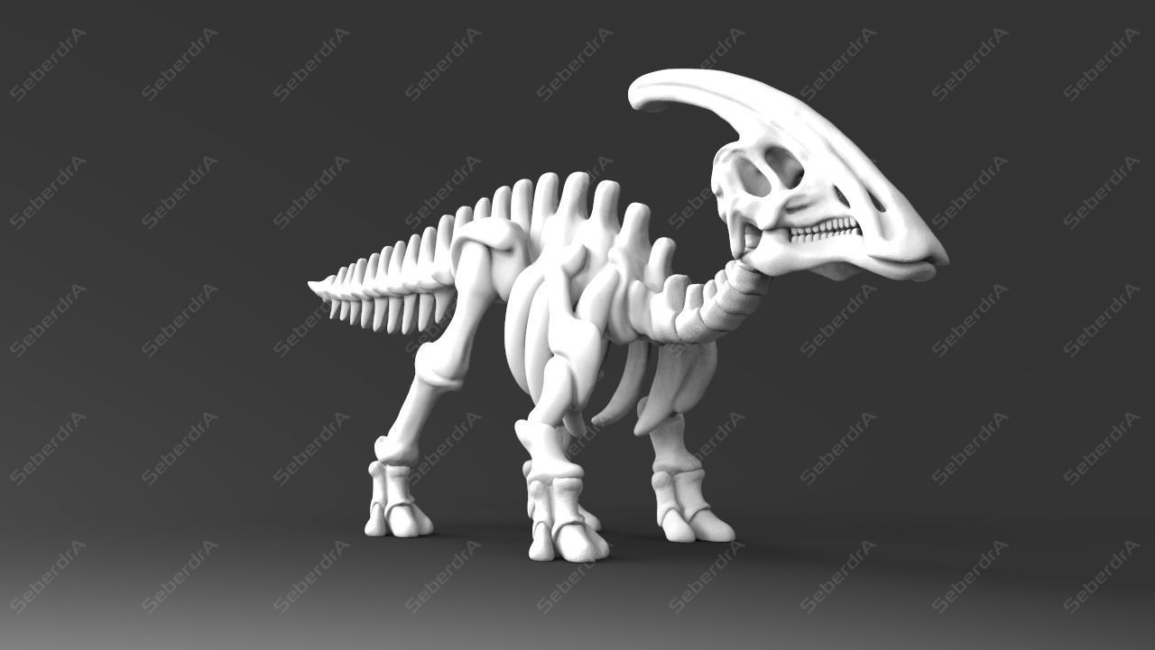 Cute Parasaurolophus Skeleton STL for 3D print model_3
