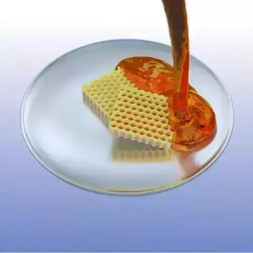 Honey Comb Simulation Free 3D model
