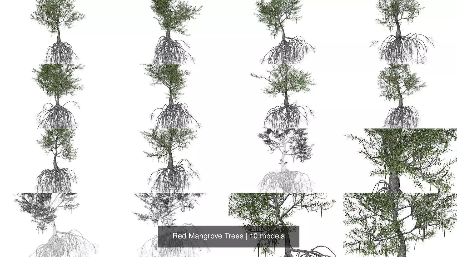 Red Mangrove Trees 3D Model Collection_1