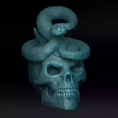 Skull with Rattlesnake - Eyes Closed - Hollow Inside