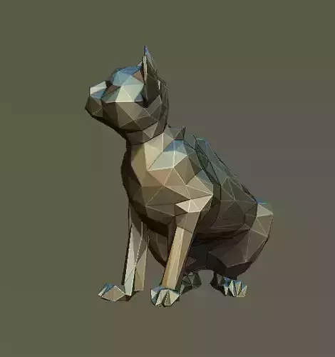 Polygon Cat