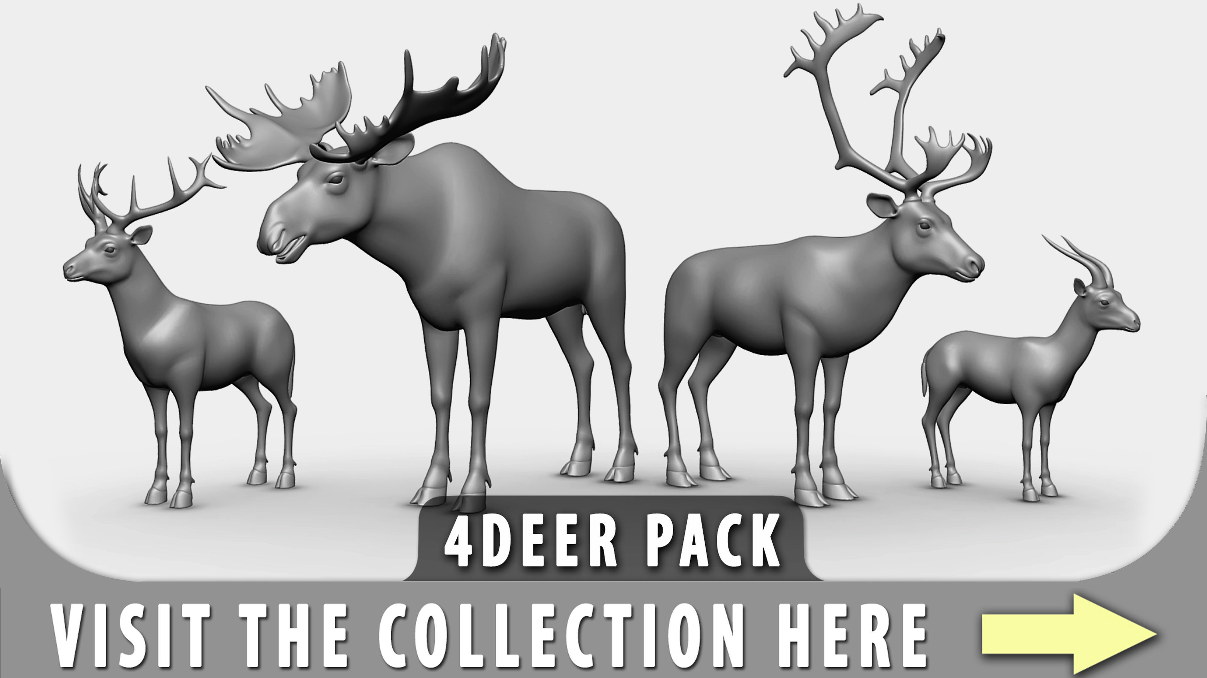 Gazelle Model  Low-poly 3D model_8