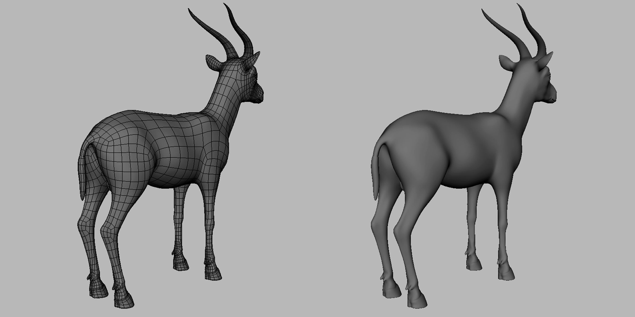 Gazelle Model  Low-poly 3D model_5