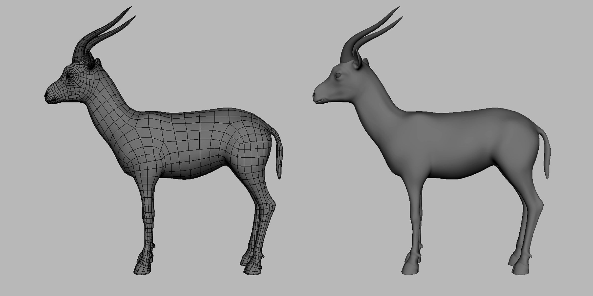 Gazelle Model  Low-poly 3D model_4