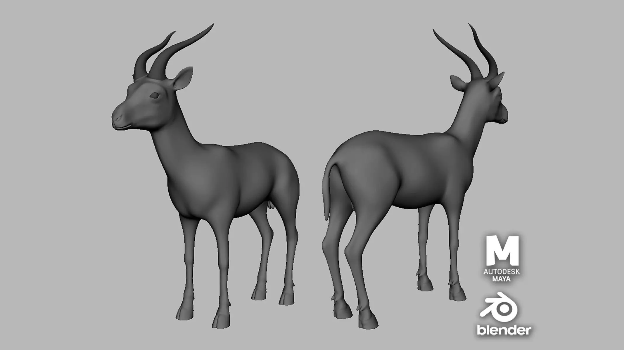 Gazelle Model  Low-poly 3D model_0