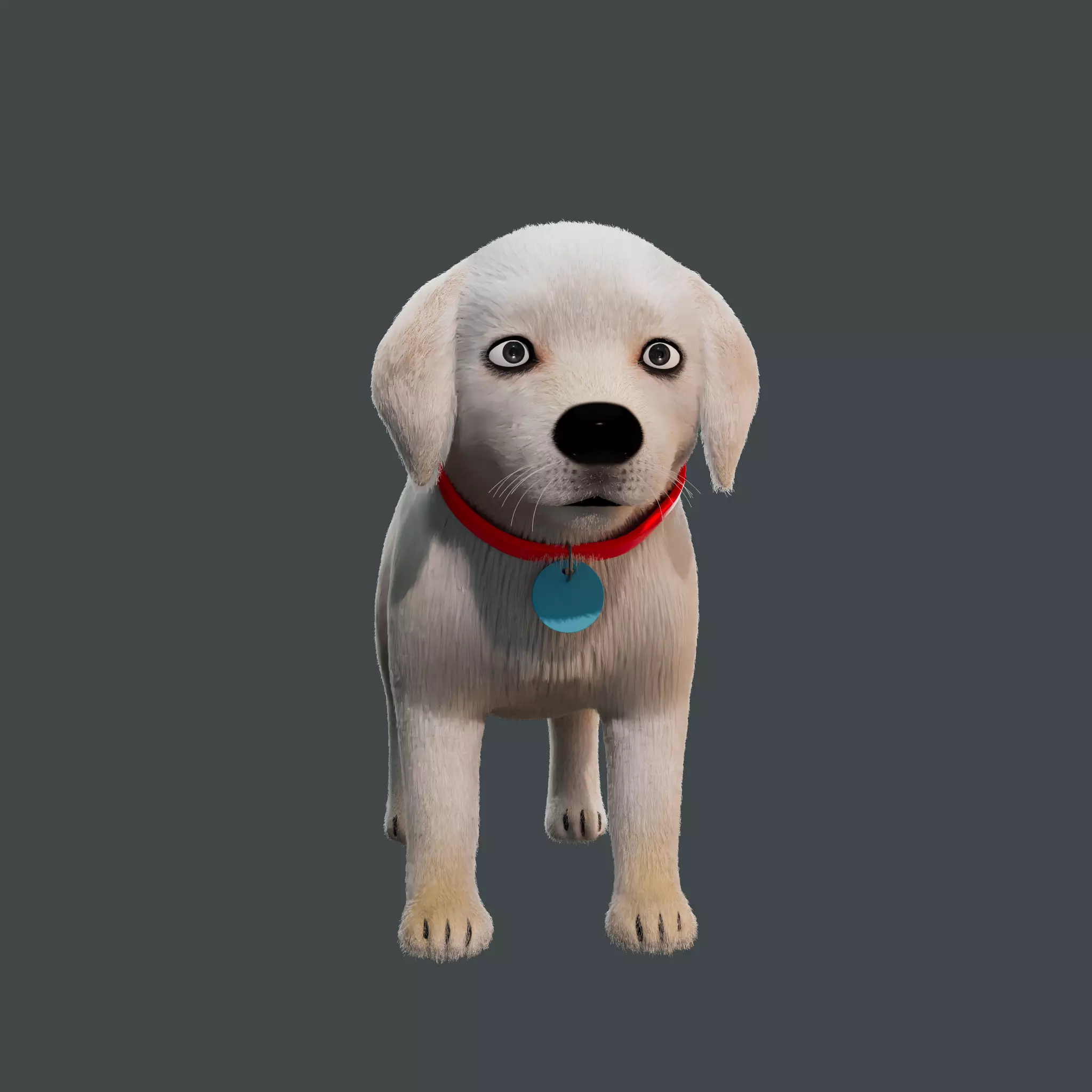 Cartoon Dog NoRig Low-poly 3D model