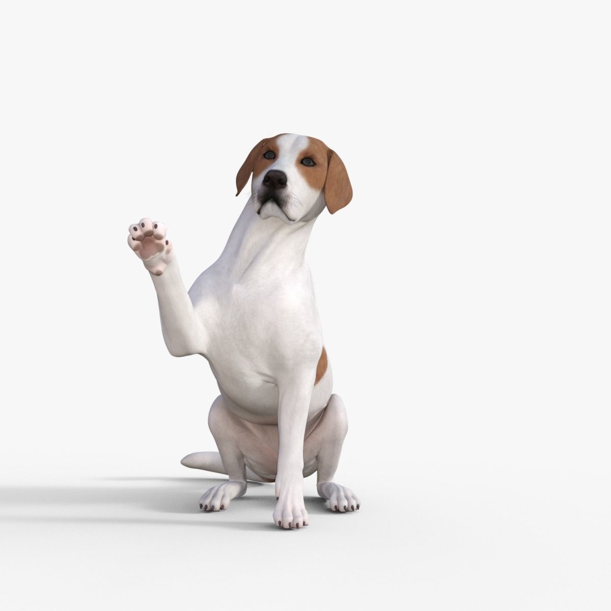 Street Dog Rigged 3D model_29