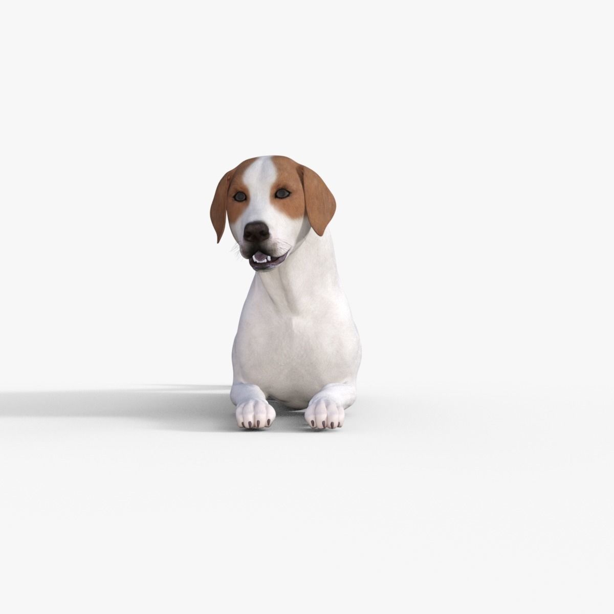 Street Dog Rigged 3D model_30