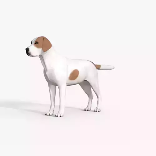 Street Dog Rigged 3D model