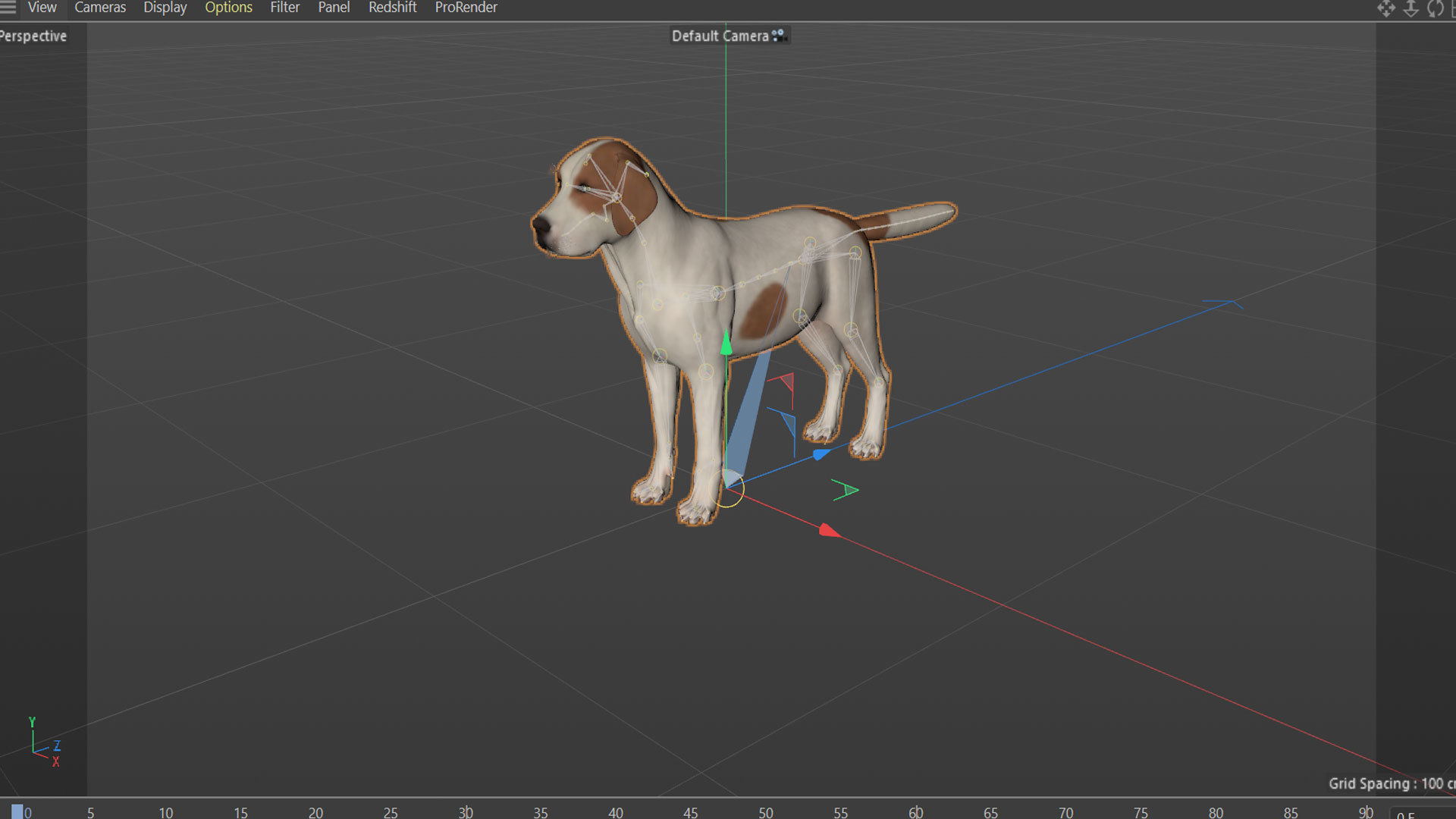 Street Dog Rigged 3D model_34