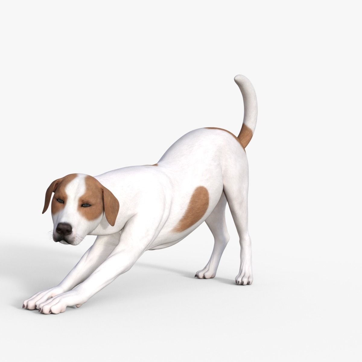 Street Dog Rigged 3D model_32