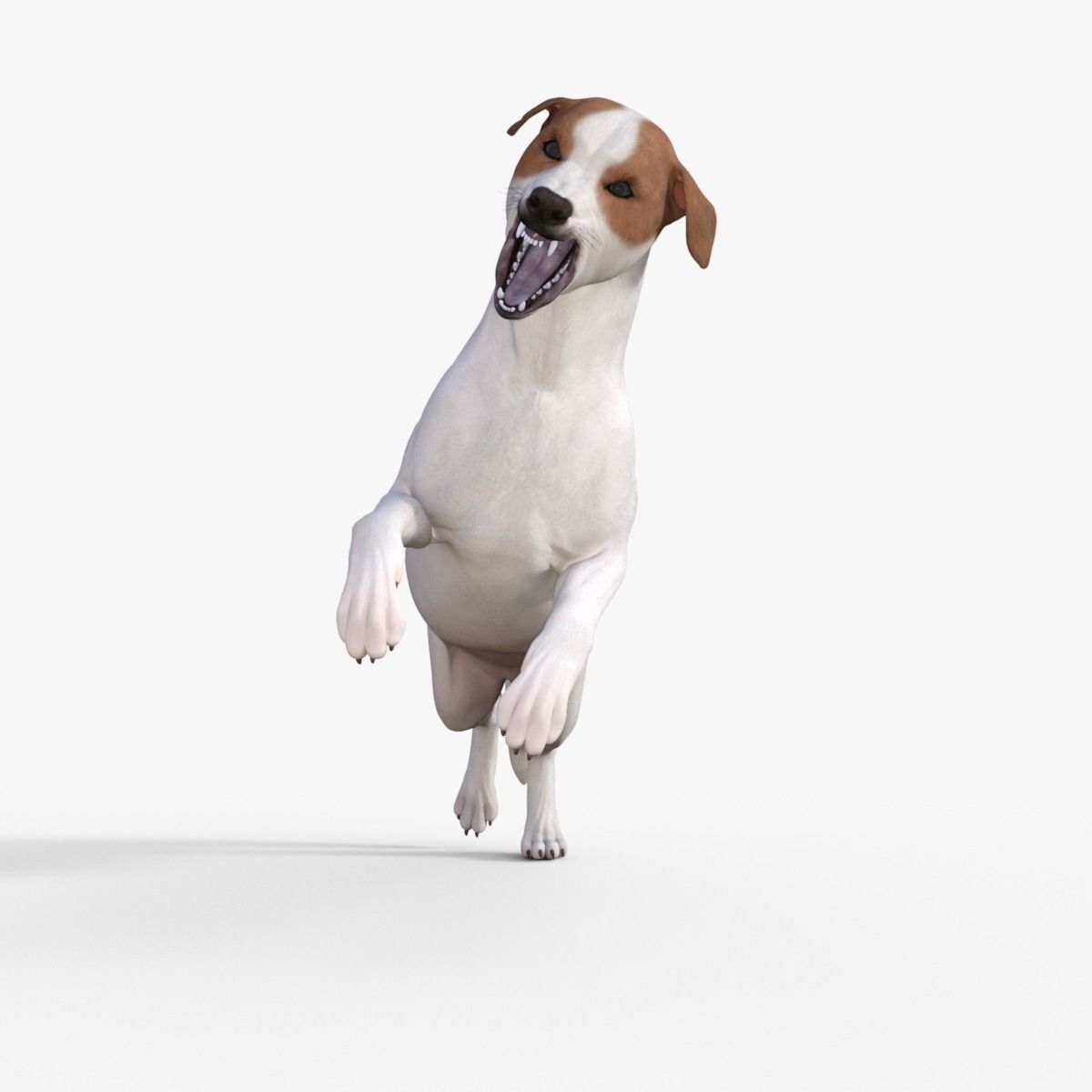 Street Dog Rigged 3D model_27