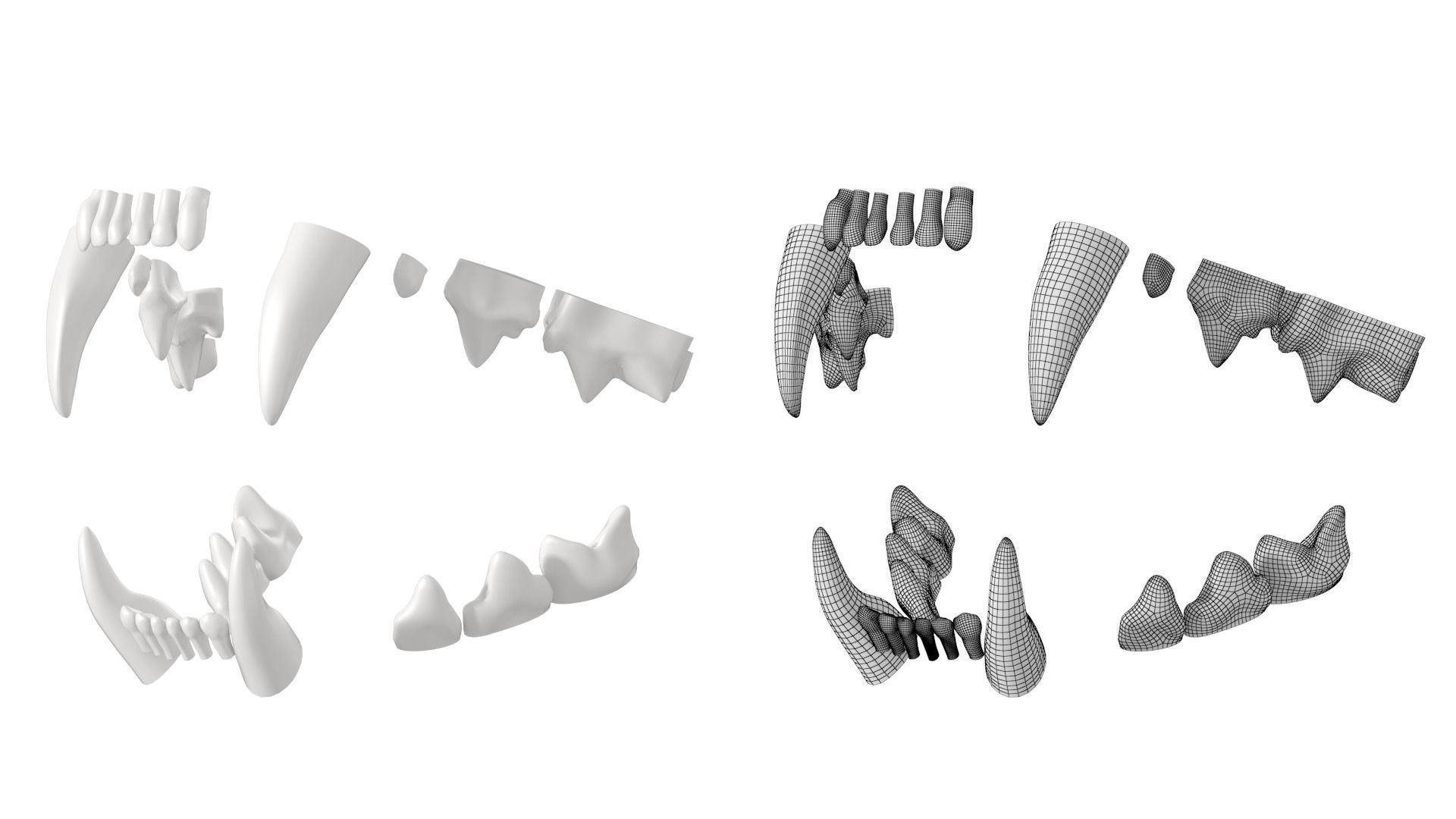 Cat Skull 3D model_21