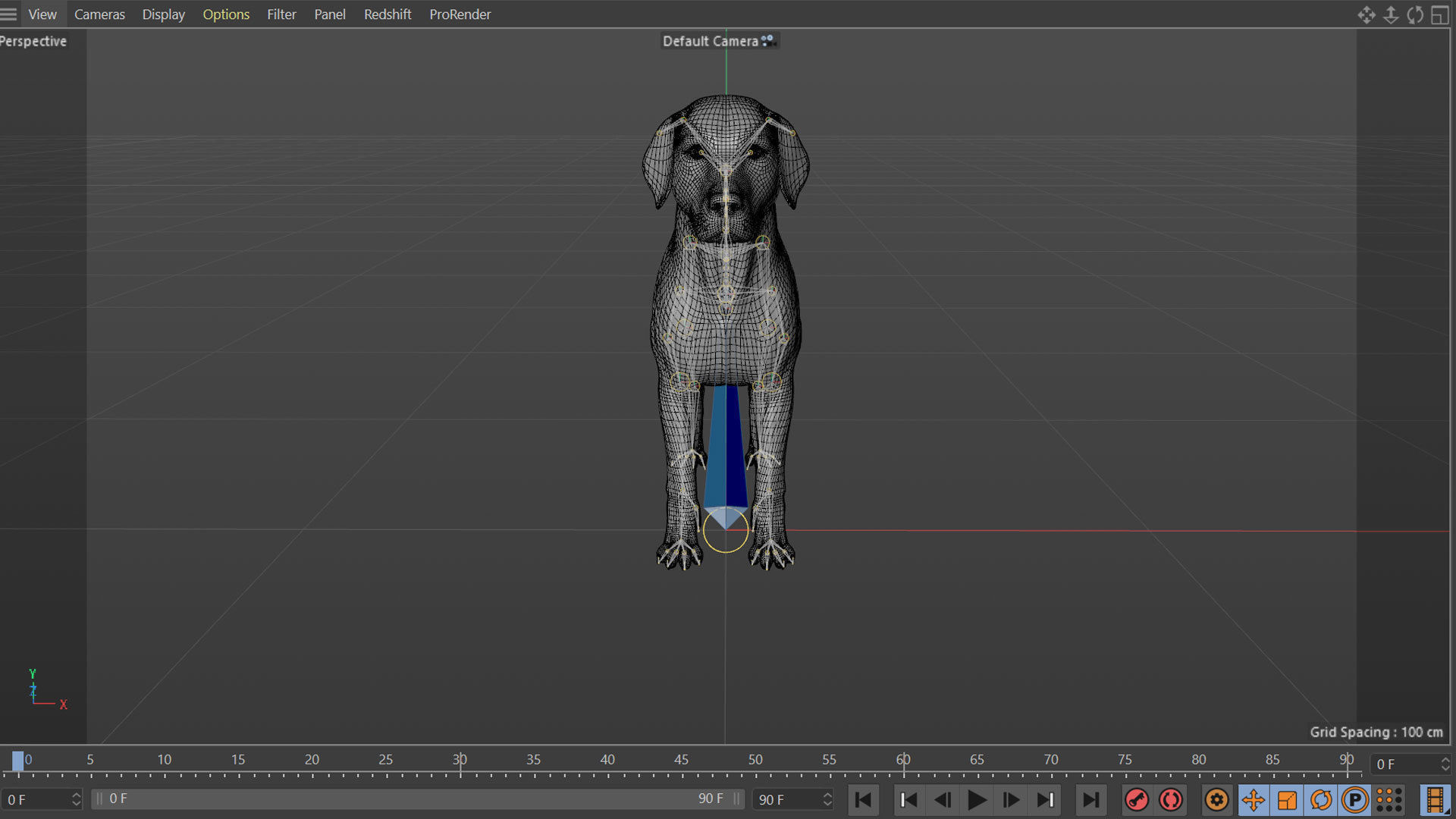 Realistic Yellow Dog Rigged 3D model_25