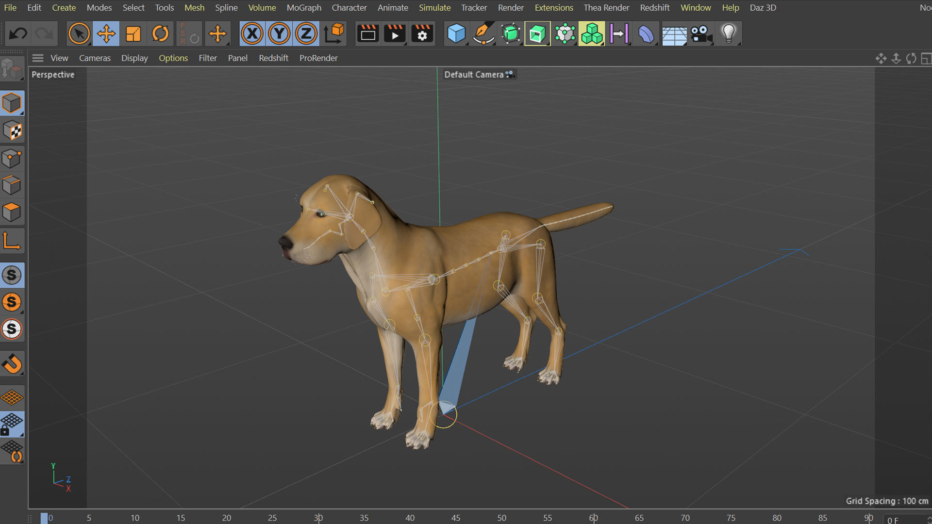 Realistic Yellow Dog Rigged 3D model_24