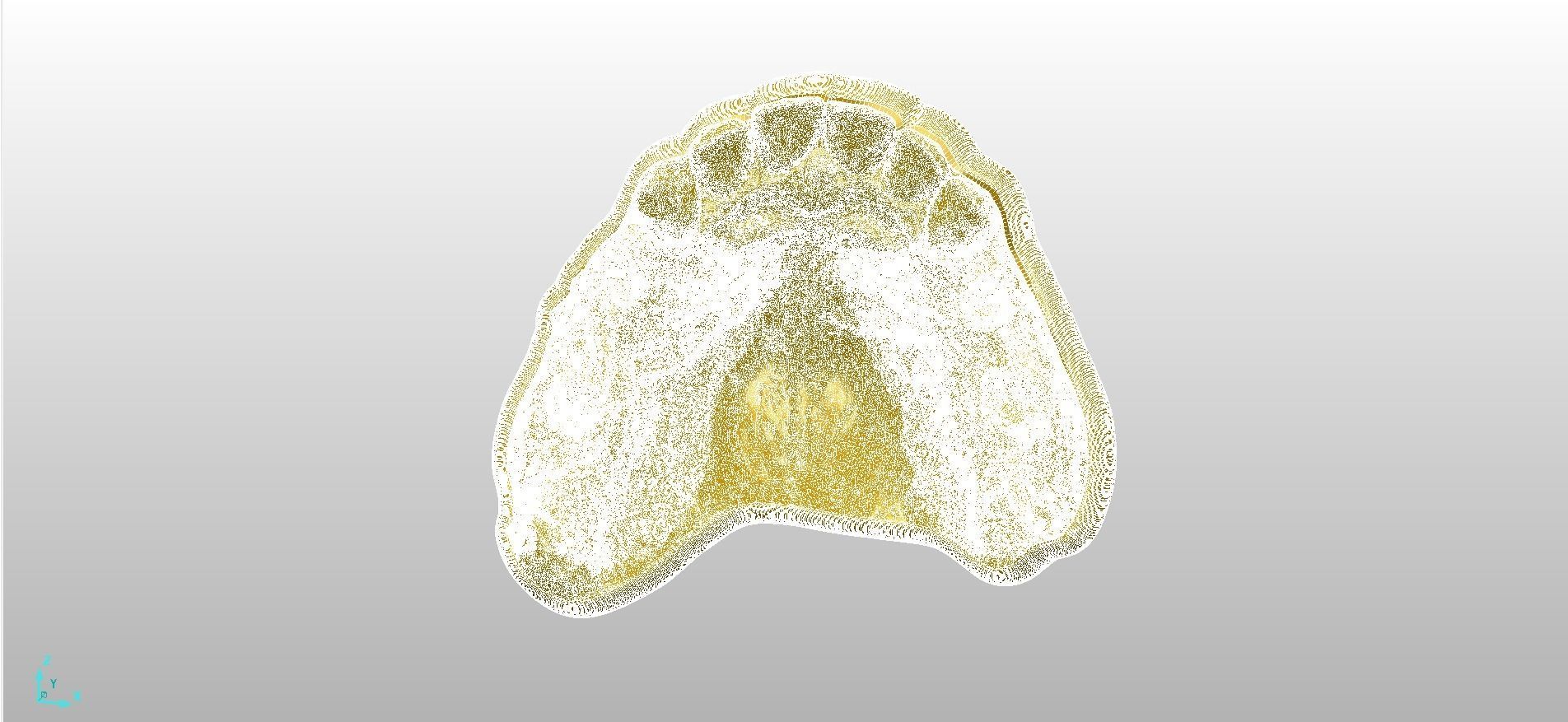 Digital RPD Model 3D print model_9
