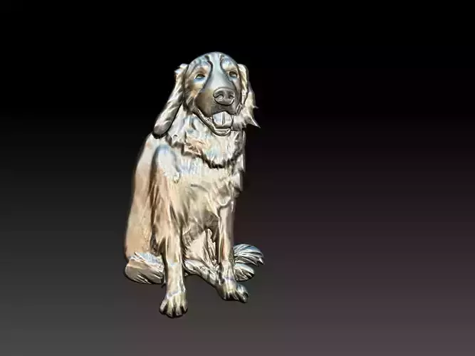 Bernesse Dog 3D print model