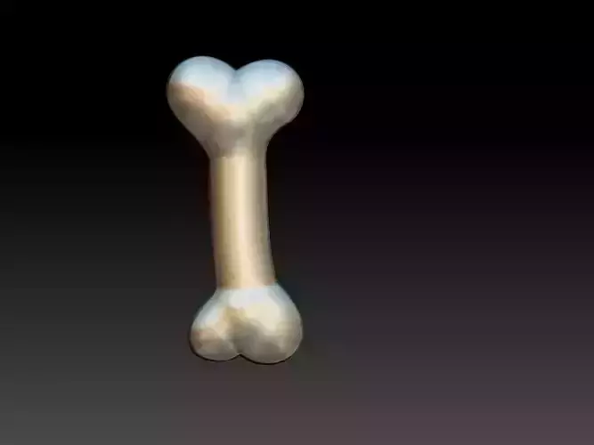 Bone Dog Food 3D print model