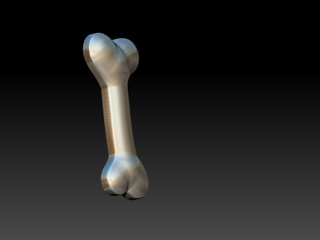 Bone Dog Food 3D print model_2