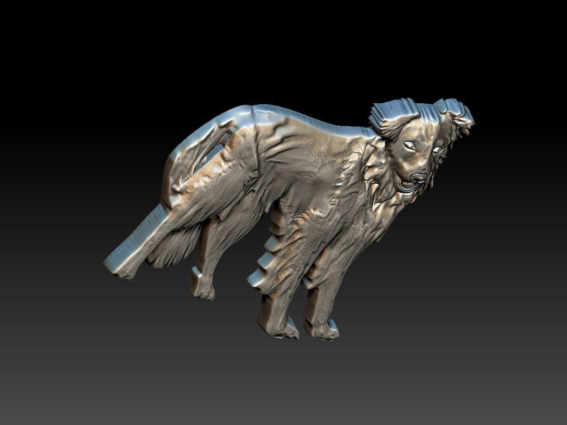 Border Collie Dog 3D print model_4
