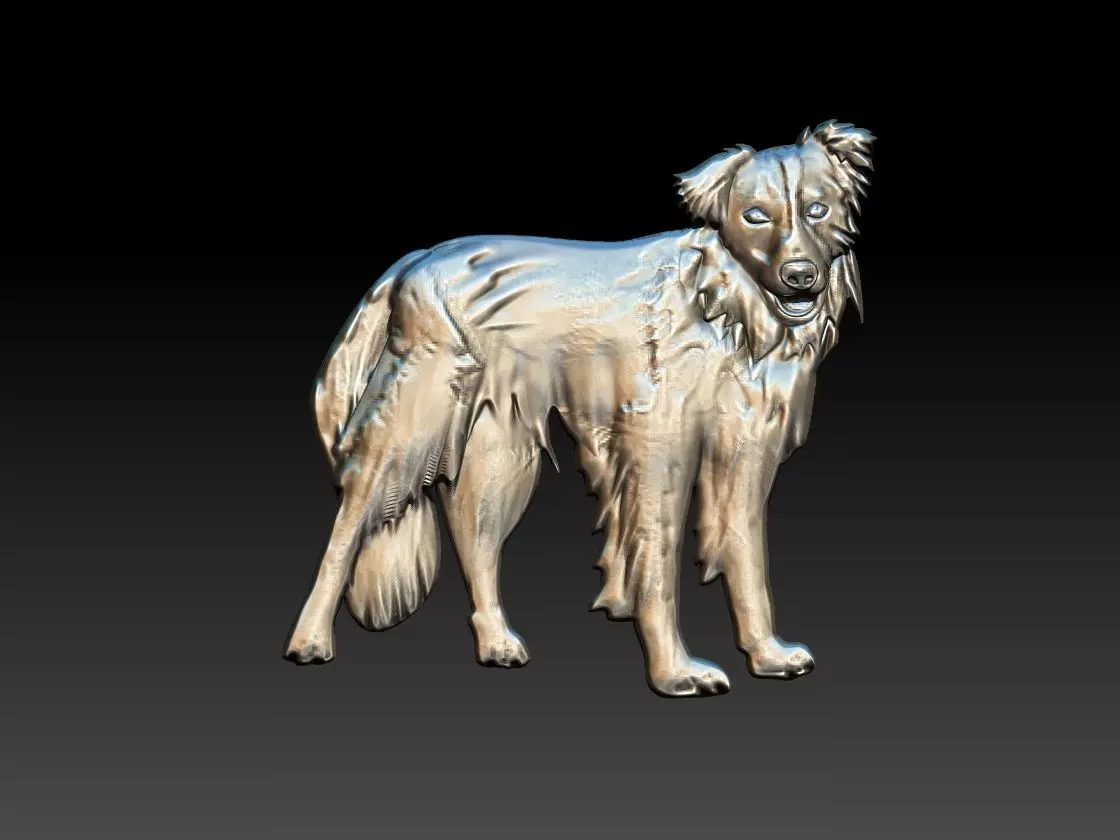 Border Collie Dog 3D print model_0