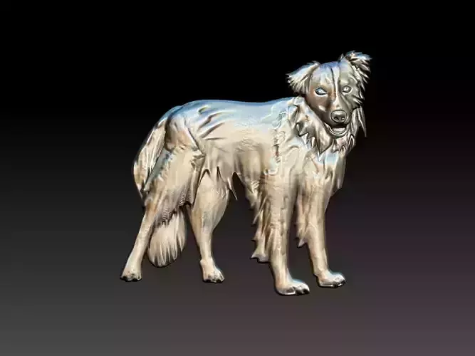 Border Collie Dog 3D print model
