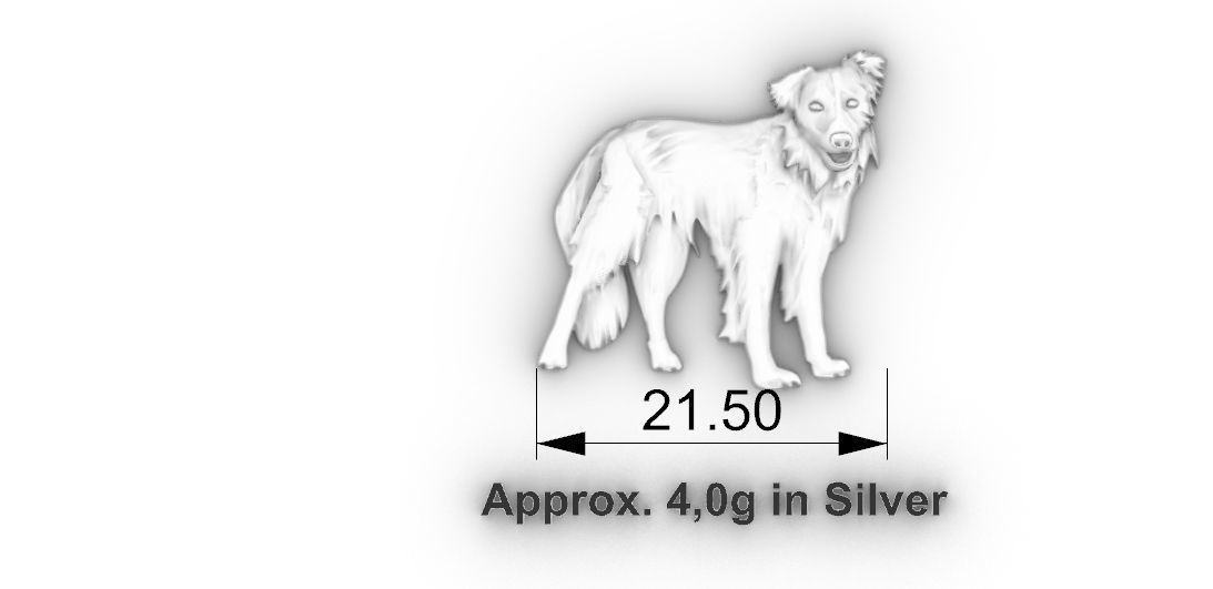 Border Collie Dog 3D print model_3