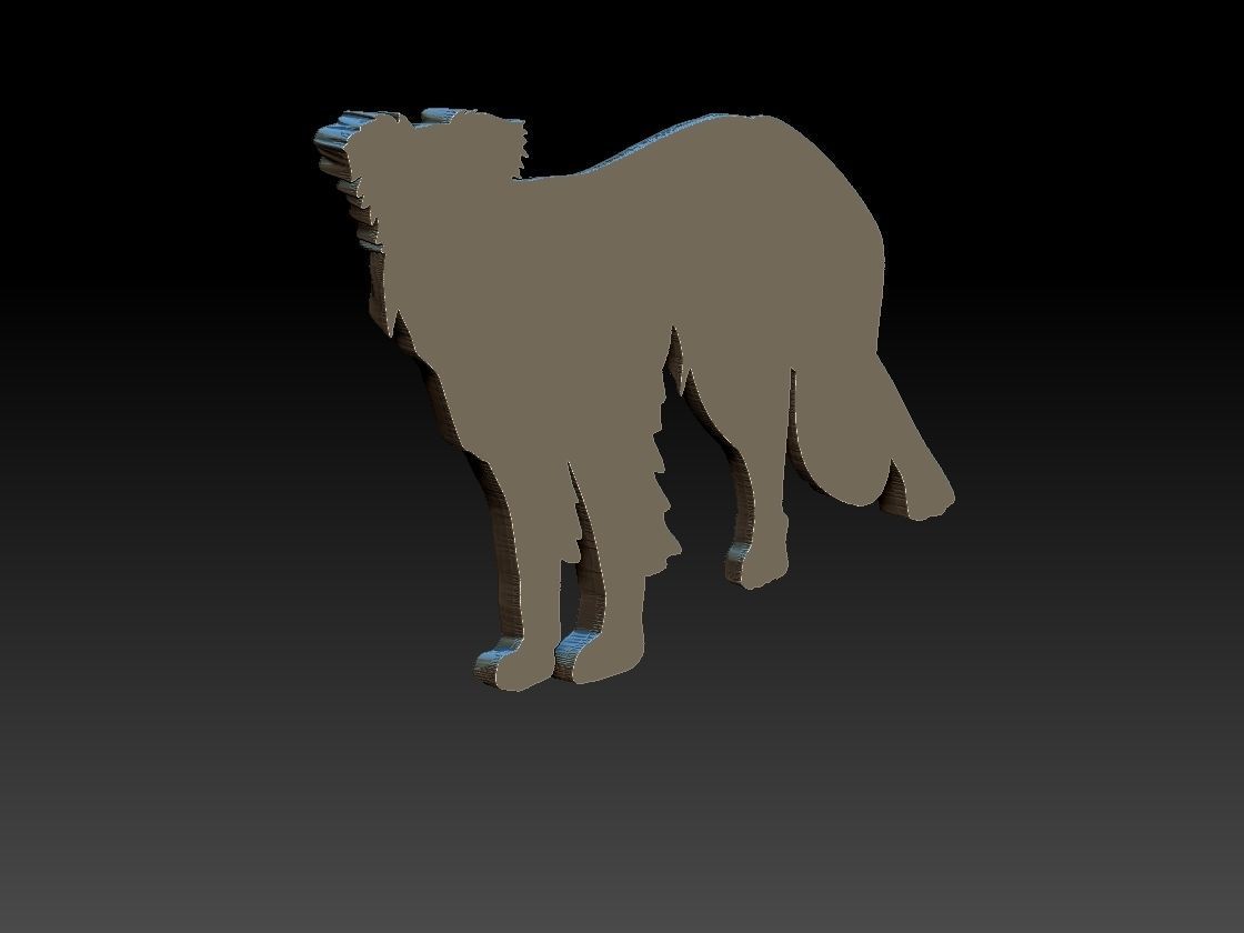Border Collie Dog 3D print model_7
