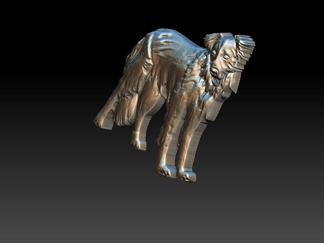 Border Collie Dog 3D print model_8