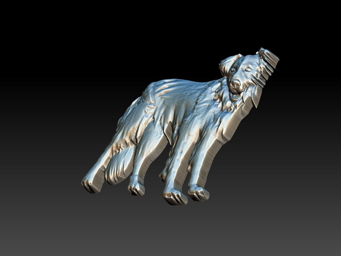 Border Collie Dog 3D print model_2